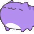 nodCatP