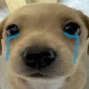 cry