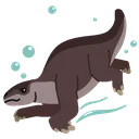 Thalassocnus Thalassocnus