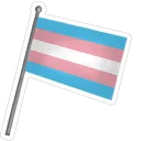 flag_trans