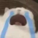 cry