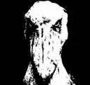 Puto