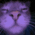 o_catvibe