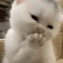 heheh