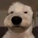 emoji_34