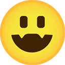 fjoy