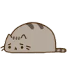 sad_cat