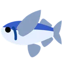 FlyingFish