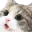 ididntdoitcat