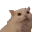 MEEPcat