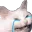 sadgecat