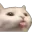 teasycat