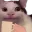 kittytea
