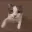 kittyromance