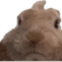 VIBEOFF
