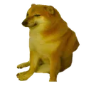 Doge_Cheems