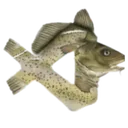 vscod vscod