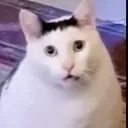 huh
