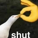 shut