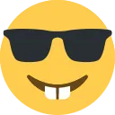 nerd_sunglasses nerd_sunglasses