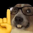 nerdog