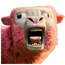 sheep_ahh