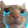 catcry Discord emoji