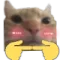 cat_blush