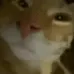suh