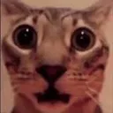 Shocked