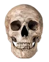 skul