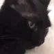 YouLookAtMeLookingAtYou