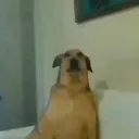 __