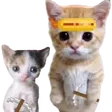 wontazUs