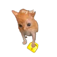 wontazPlsWL