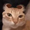 TheDevilInsideMe