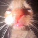 silly silly