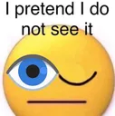 ipretendidonotseeitoneeyeopen