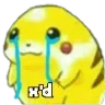 xdsad