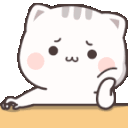 mochicat animated emote | Μ Λ Υ V Ι L L Ξ🌿