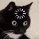 cat_confusion