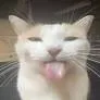 bleh bleh