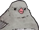 bruh_bird