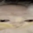 B_BagelWide2