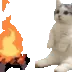 catsittingverycomfortablearo2