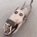 britishteeth