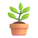 plante