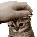 PetTheSadCat