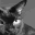 GIGACAT