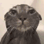 WetCat